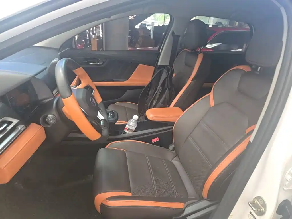 BYD e2 2021 2021 Luxury Edition