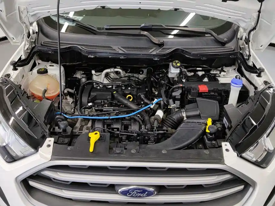 Ford EcoSport 2018 2018 1.5L Automatic Platinum Wing