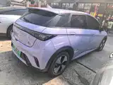 Фото 6 - BYD Dolphin