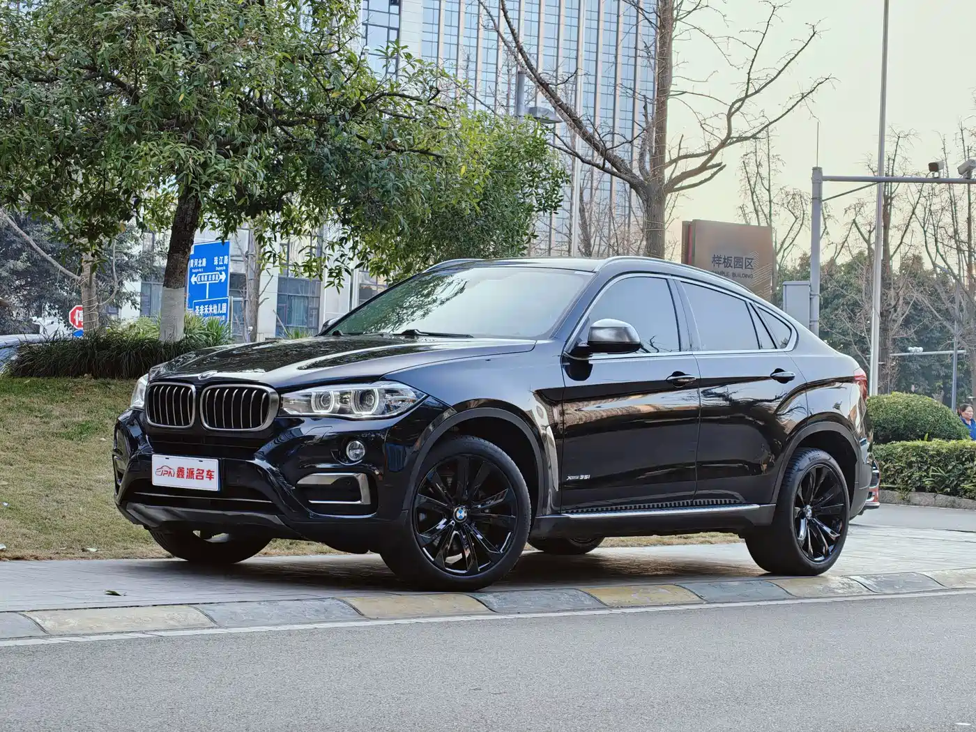 BMW X6 2015 xDrive35i Leading Type