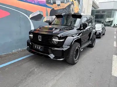 Tank 300