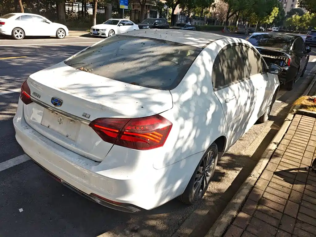 Фото 23 - Geely Emgrand