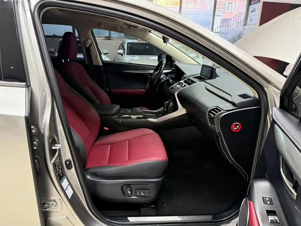 Lexus NX 2020 200 AWD F Sport China VI фото 21
