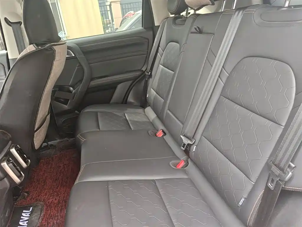Haval Big Dog 2022 1.5T DCT FWD Labrador Edition фото 17