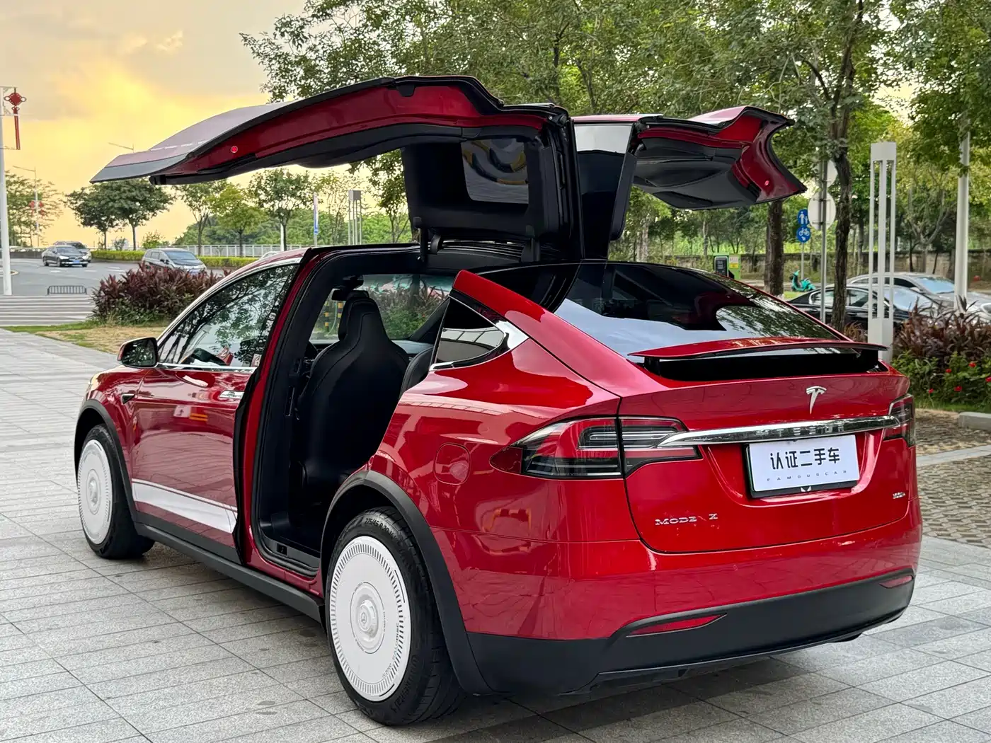 Photo 12 - Tesla Model X