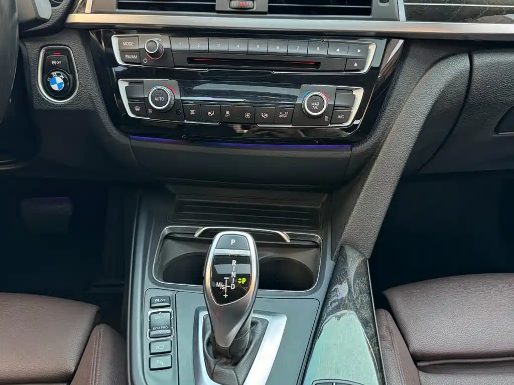 BMW 3 Series 2019 320Li M Sport Black Night Edition фото 18
