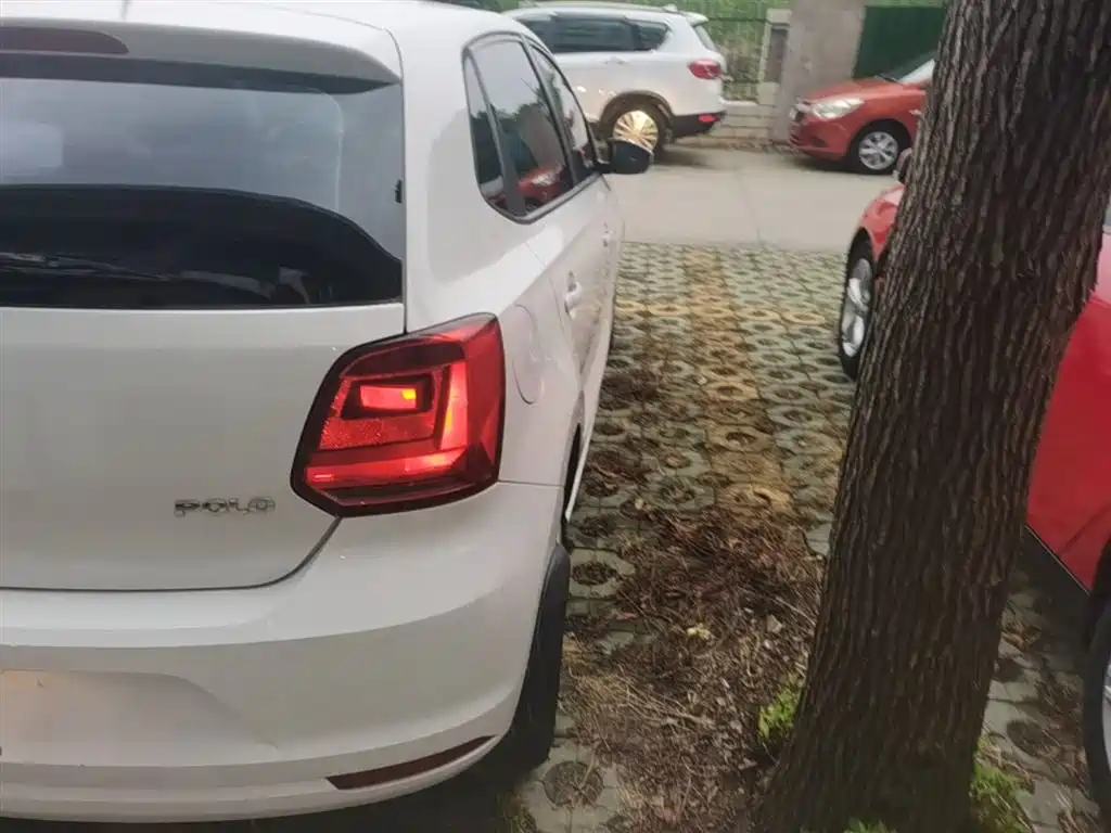 Volkswagen Polo 2016 1.4L Manual Trend фото 8
