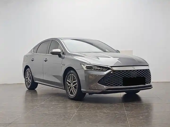 BYD Qin PLUS 2024 Glory Edition DM-i 55KM Surpass фото 3