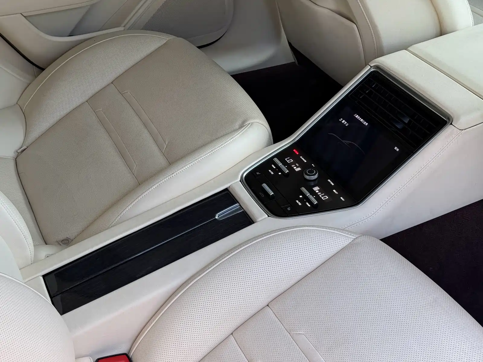 صورة 20 - Porsche Panamera New Energy