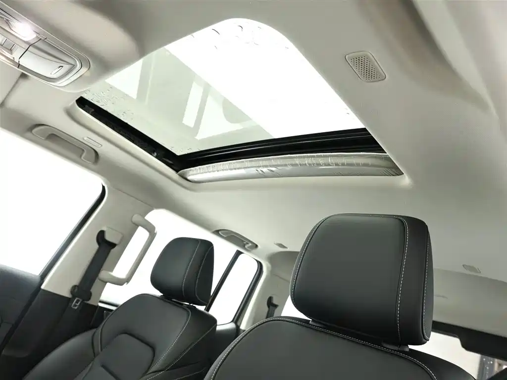 Tank 300 New Energy 2025 Hi4-T 36.7kWh Edition фото 11