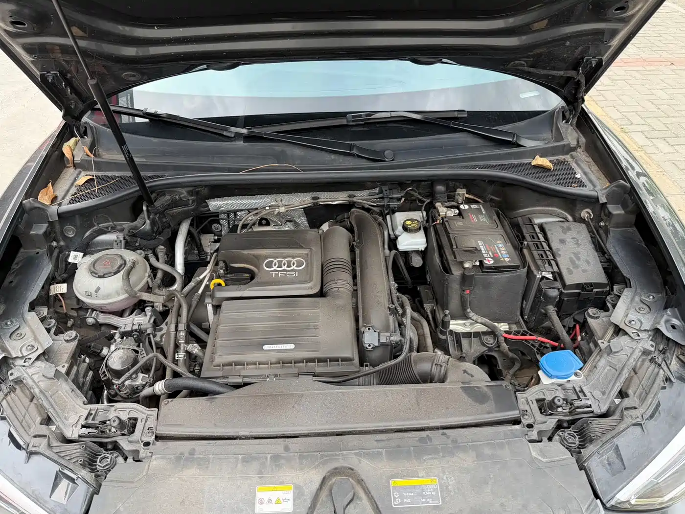 Audi Q3 2023 35 TFSI Progressive Dynamic (1.4T) фото 21