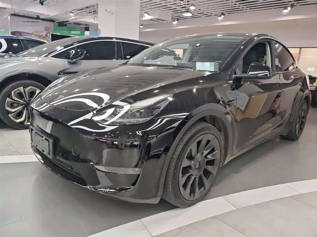 Tesla Model Y 2021 Standard Range Rear-Wheel Drive