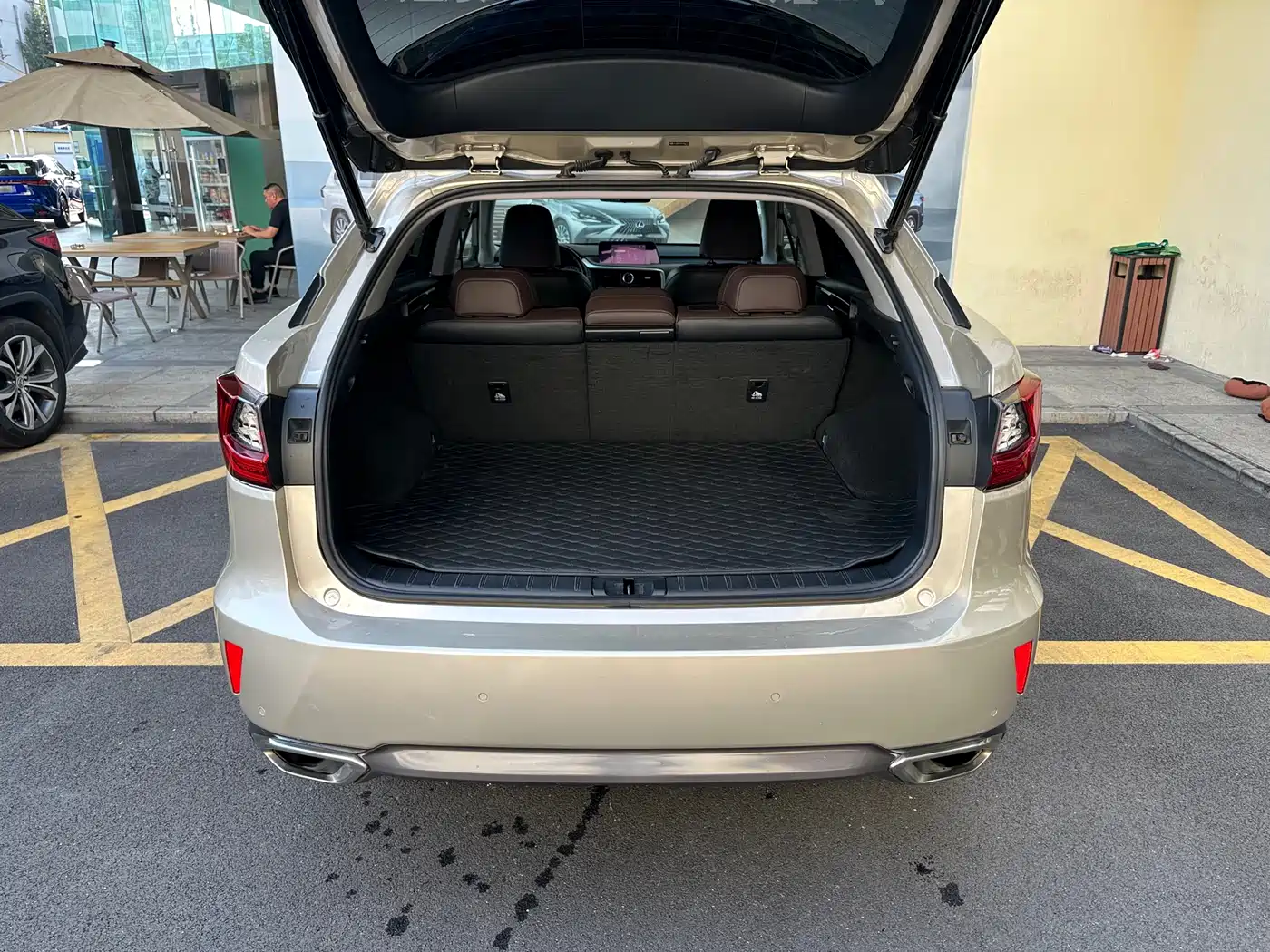 Lexus RX 2016 300 4WD Elegance Edition (China V) фото 21