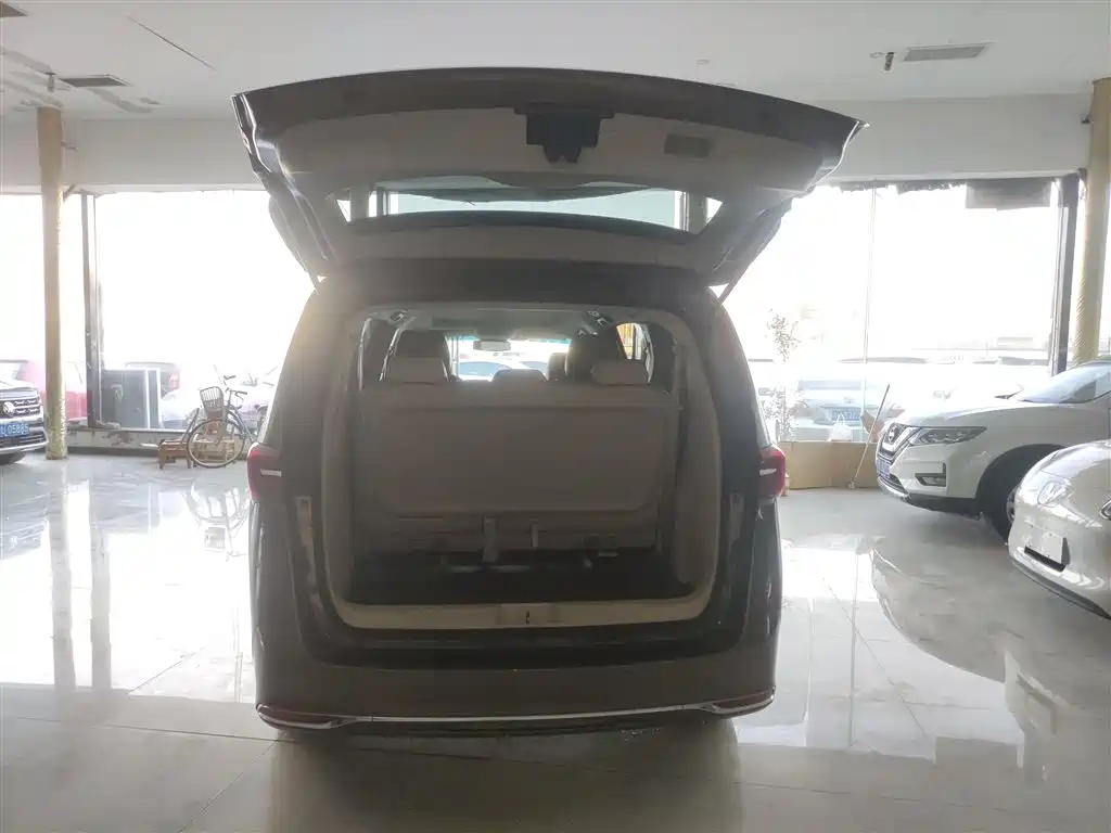 Buick GL8 2020 Model Land Business Class 652T Luxury фото 16