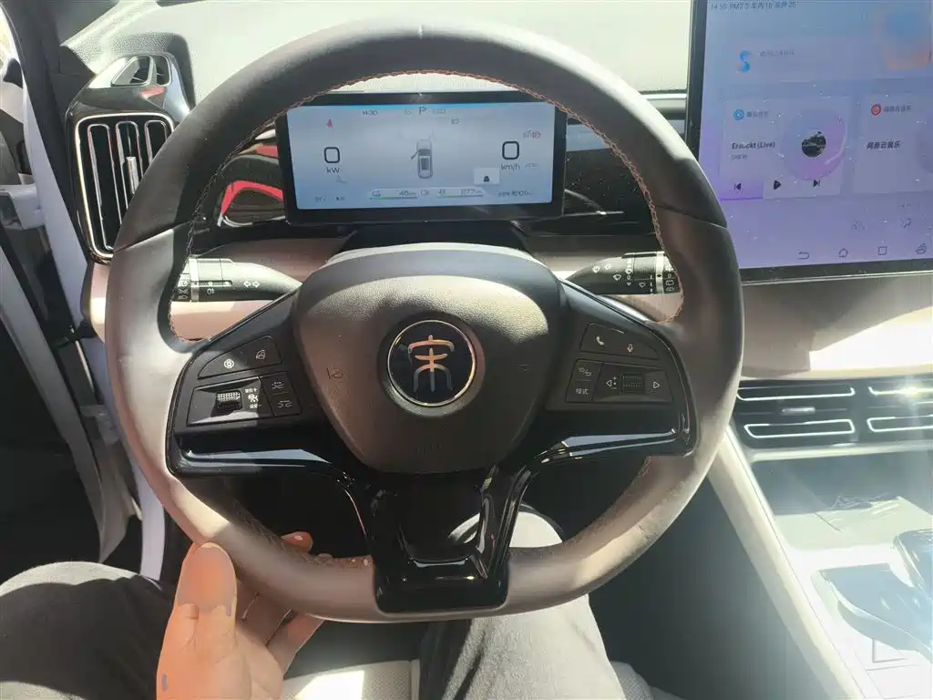 BYD Song Pro New Energy 2024 Glory Edition DM-i 110KM Excellence фото 11