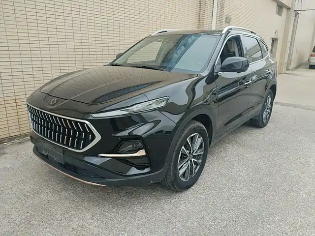 Sehol X7 1.5T, Флагман