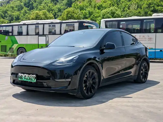 Tesla Model Y 2021 Standard Range Rear-Wheel Drive