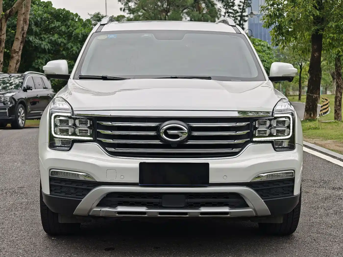 GAC Trumpchi Trumpchi GS8 2017 320T 2WD Luxury Smart Connect (7-seater) фото 3