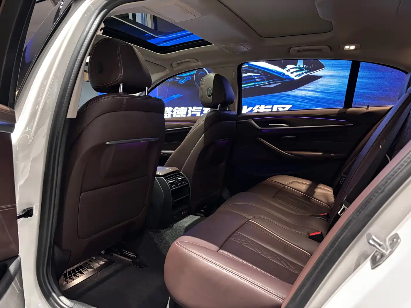 BMW 5 Series 2020 530Li xDrive Luxury Package фото 9