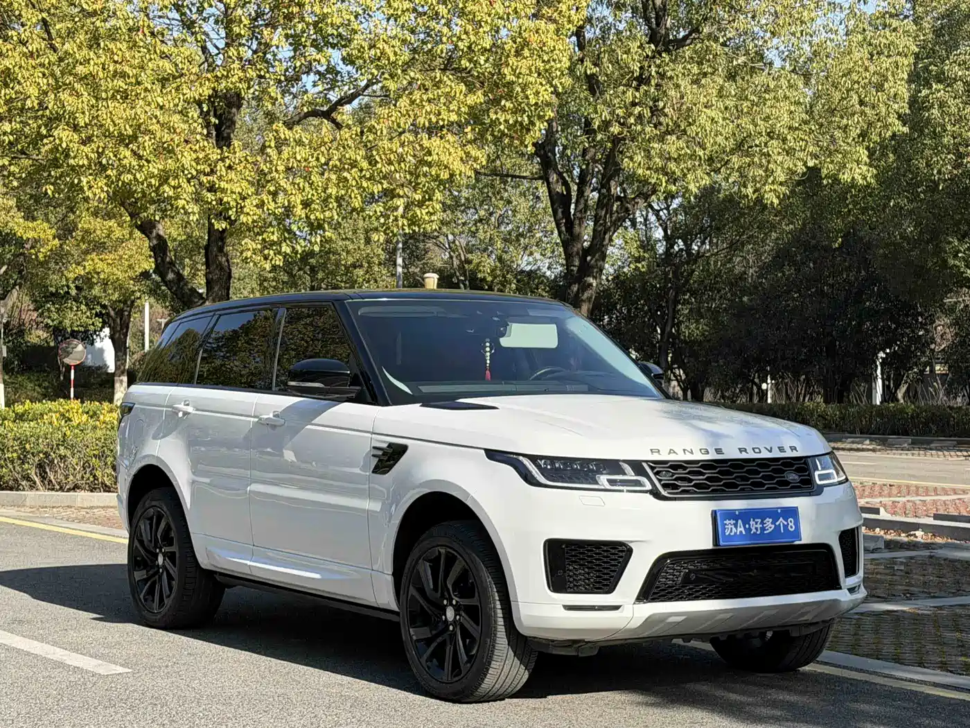 Land Rover Range Rover Sport 2020 3.0 L6 HSE DYNAMIC фото 3