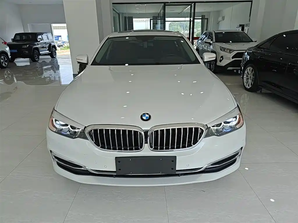 BMW 5 Series 2020 525Li Luxury Package фото 3