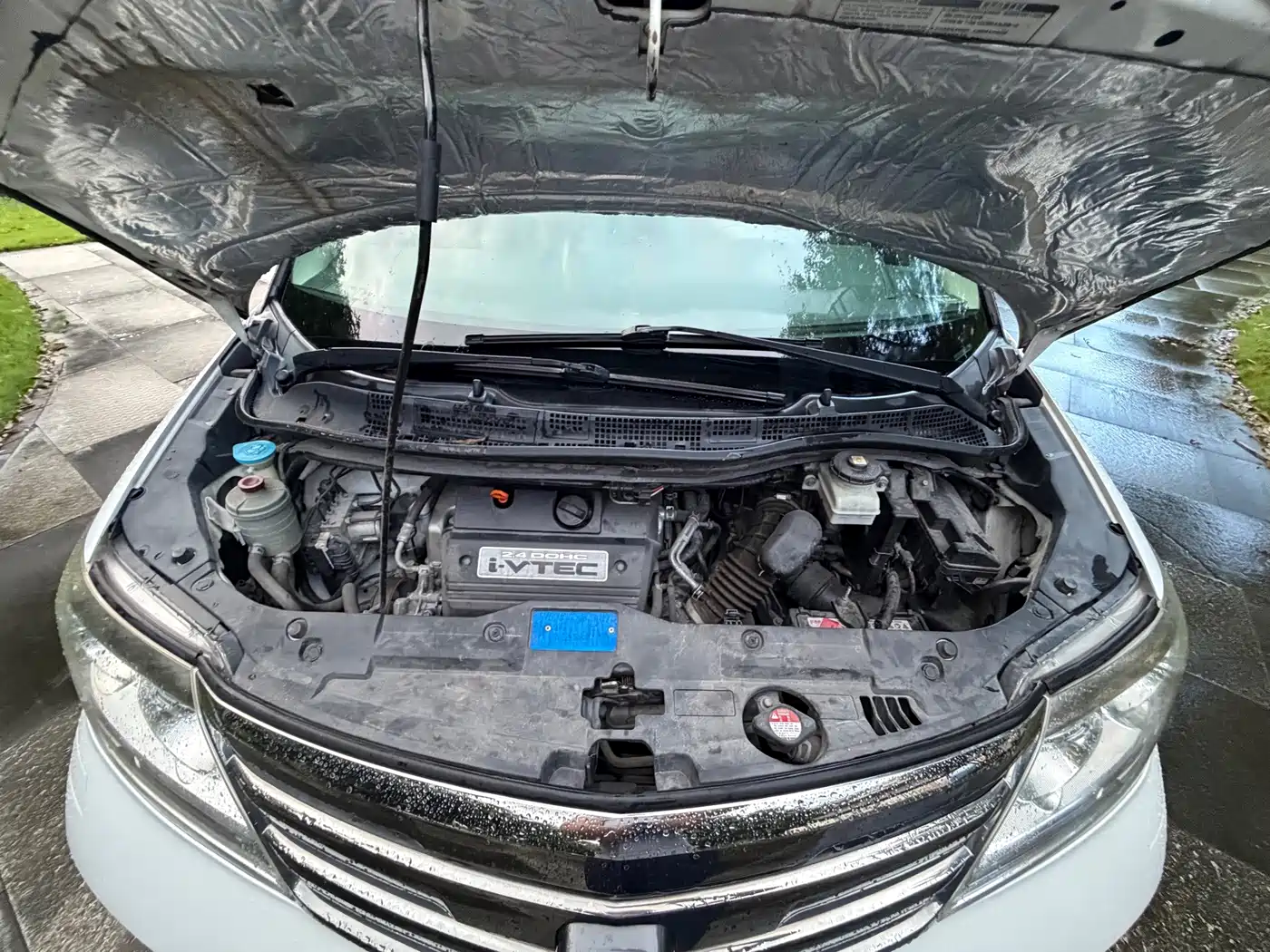 Фото 24 - Honda Elysion