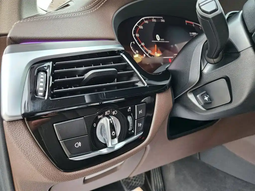 BMW 5 Series 2020 530Li Leading Luxury Package фото 13