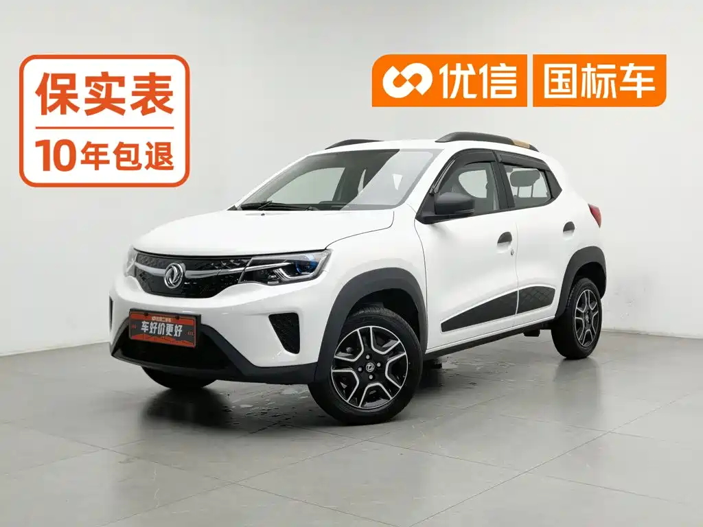 2024 Dongfeng Yipai Dongfeng Nano EX1