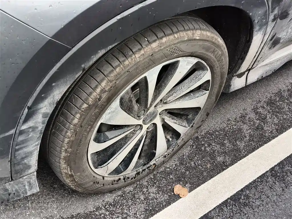 BYD Song PLUS PHEV 2024 Glory Edition DM-i 110km Flagship фото 23