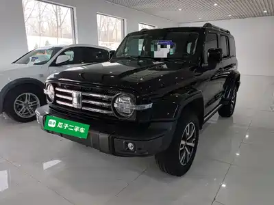 Tank 300