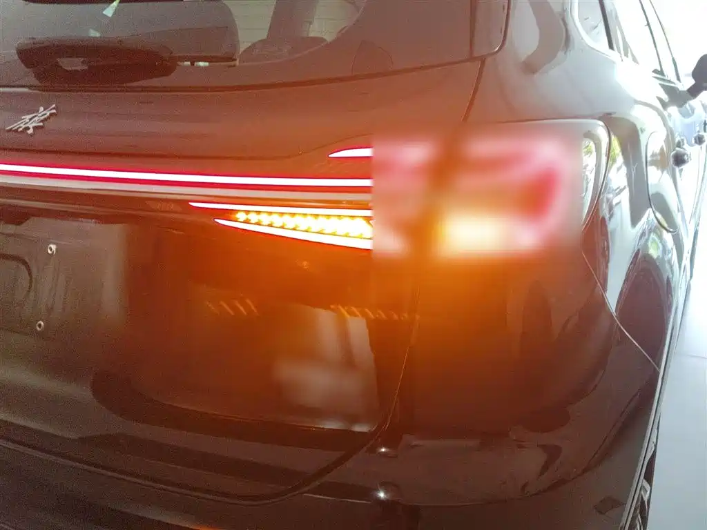 Hongqi HS5 2023 2.0T 4WD Flag Leader Pro фото 24