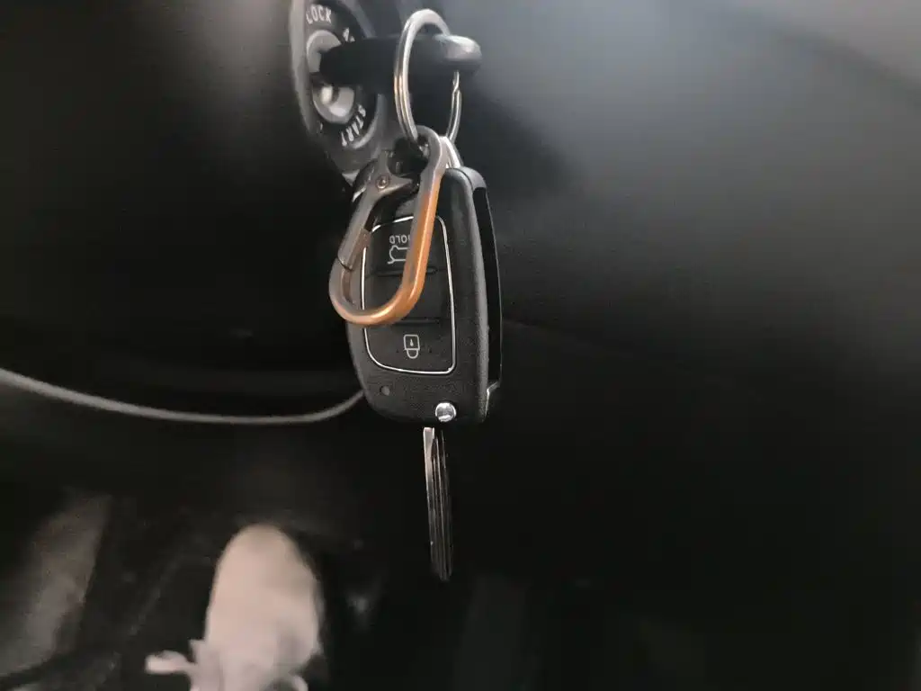 Hyundai Langdong 2017 2016 1.6L Automatic Smart Edition