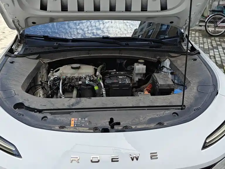 Roewe Roewe D6 2025 450km Premium Edition 6