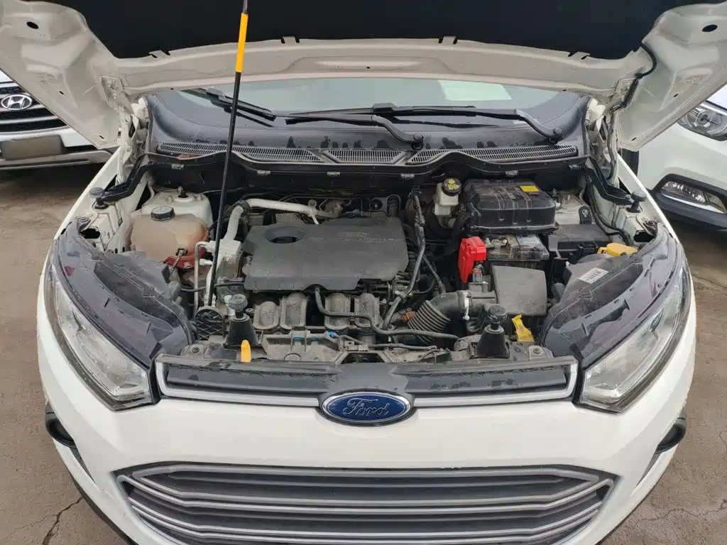 Ford EcoSport 2017 2017 1.5L Automatic Trend