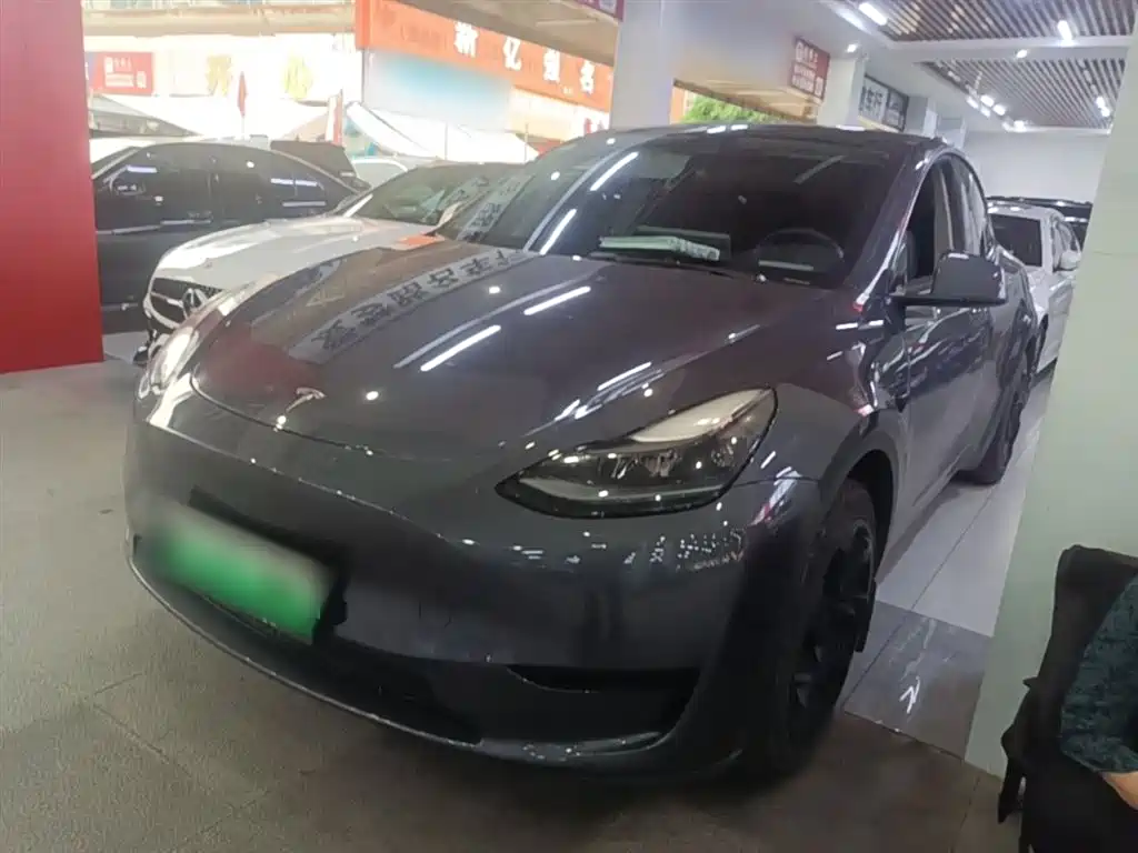 Tesla Model Y 2022 Rear-Wheel Drive Version