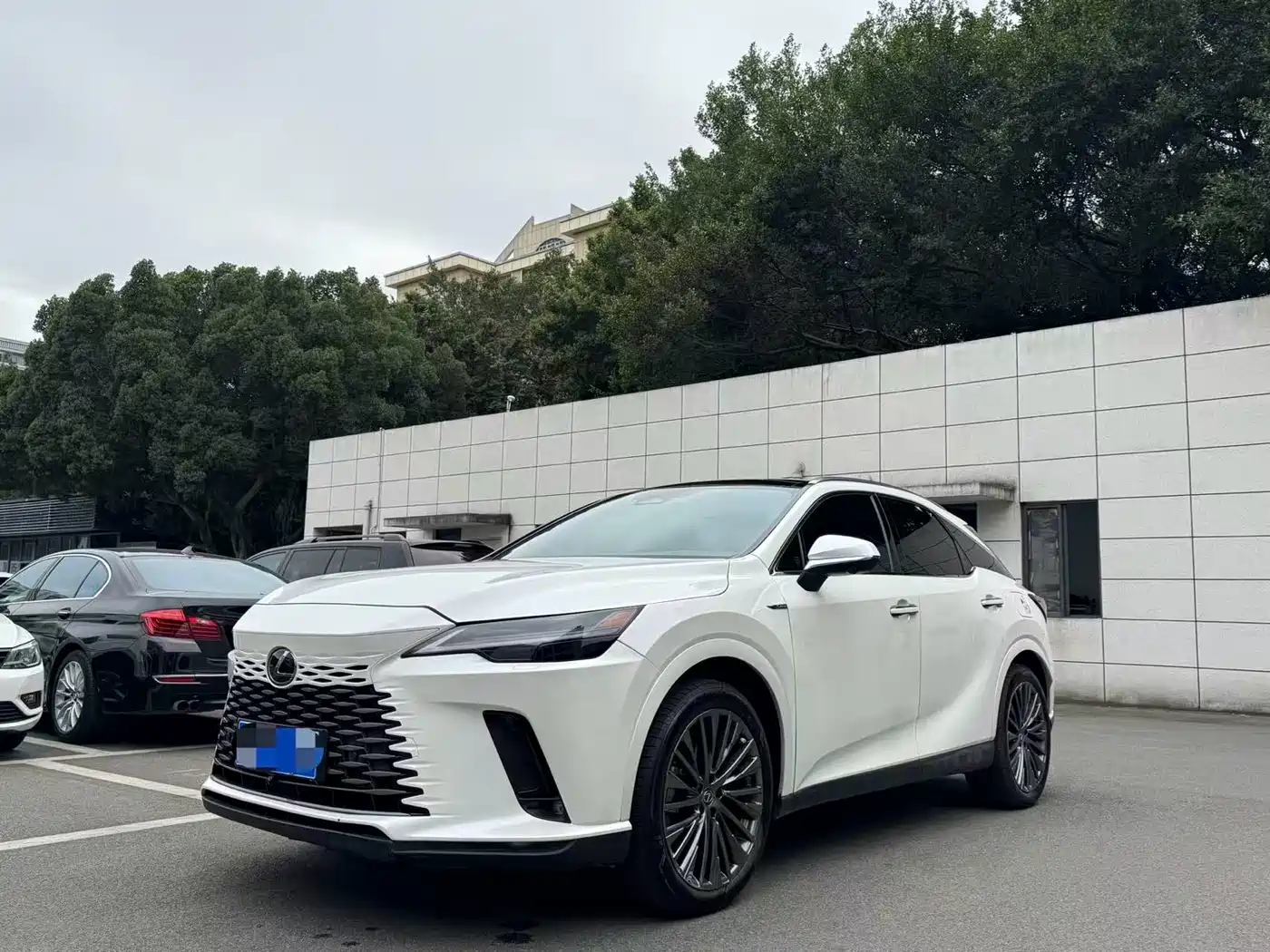 LEXUS RX