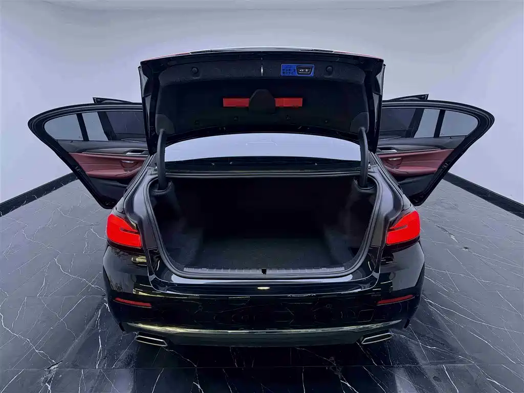 BMW 5 Series 2021 530Li Leading Luxury Package фото 7