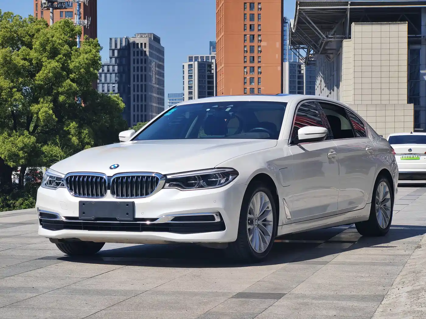 BMW 5 Series New Energy 2020 530Le Luxury Package