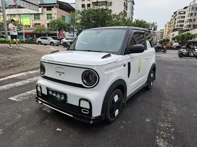 Geely Galaxy Panda 2025 Model Year 210km Panda Kart