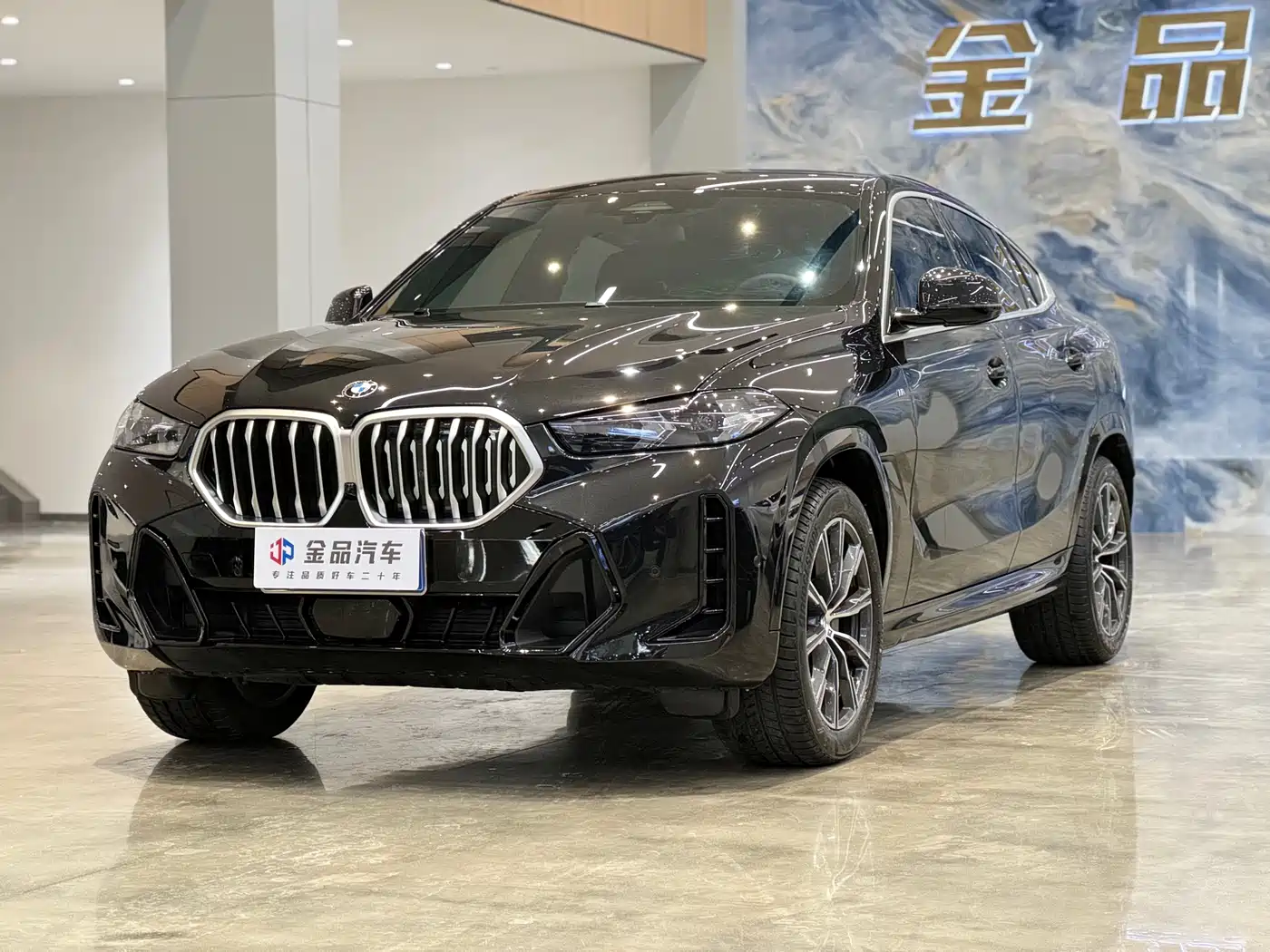 BMW X6 2023 xDrive30i M Sport Package