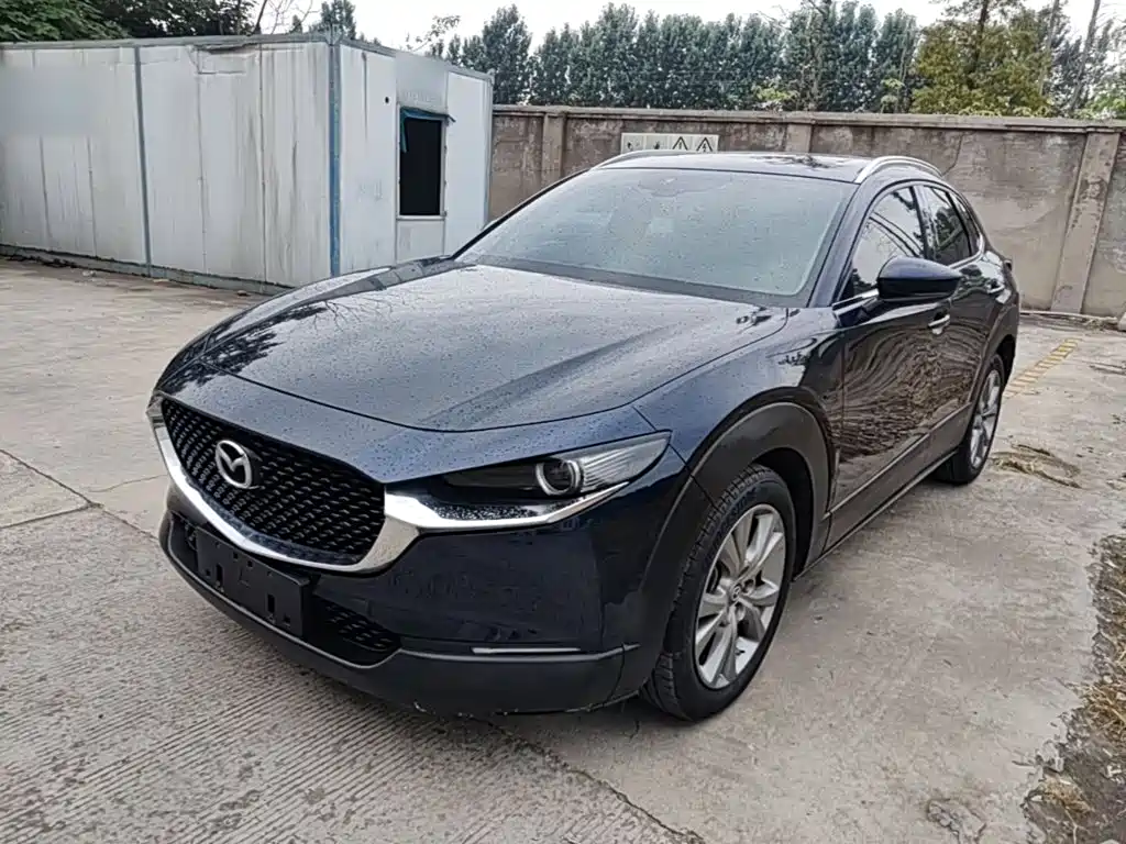 Mazda CX-30 2021 2.0L Auto Premium Joy Type