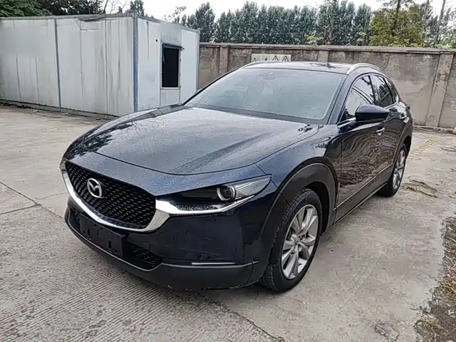 Mazda CX-30 2021 2.0L Auto Premium Joy Type