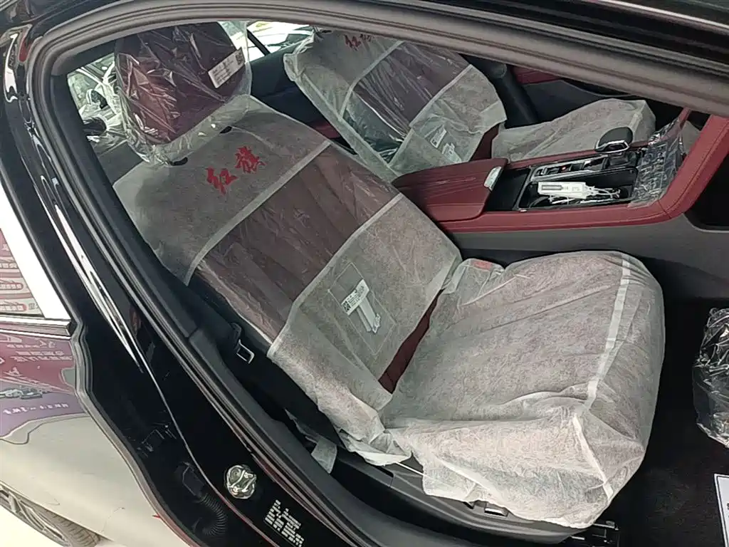 Hongqi H5 2025 2.0T Automatic Mystic Shadow 2 Million Edition фото 20