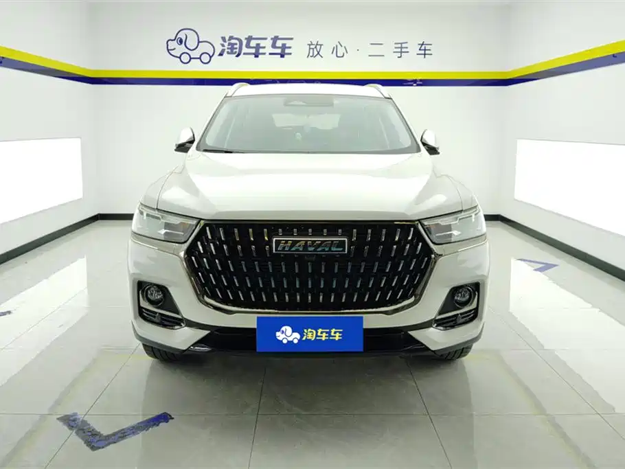 Haval H6 2023 National Trend Edition 1.5T Automatic Champion фото 2