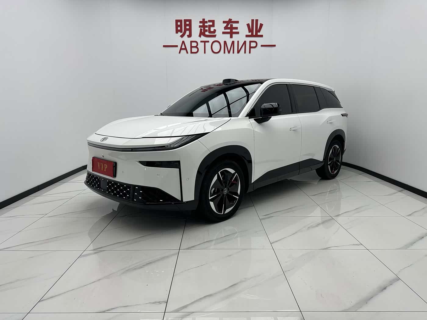 Toyota BoZhi 3X