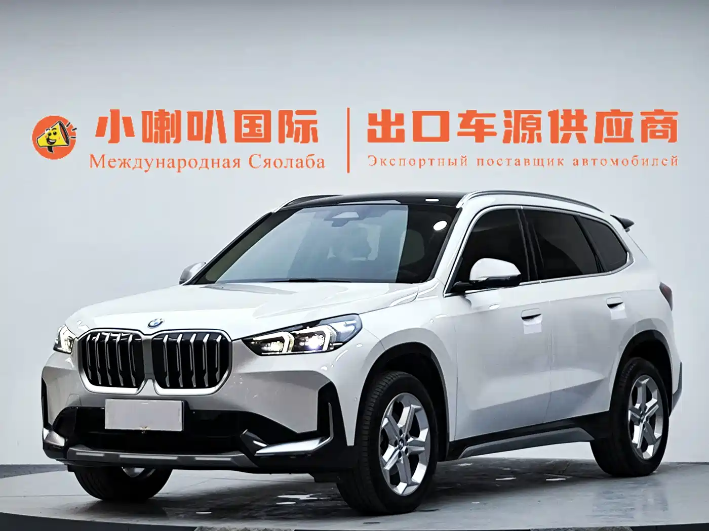 BMW X1 2023 sDrive20Li X Design Package