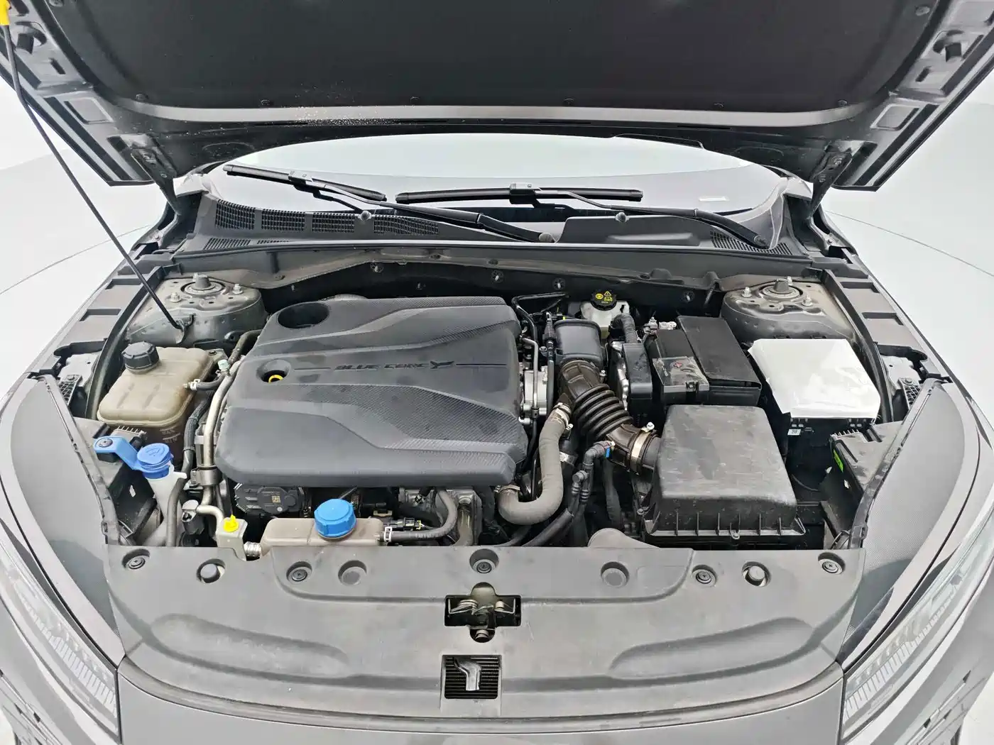 Changan Yida 2024 2023 Blue Whale NE 1.5T GDI DCT Exclusive