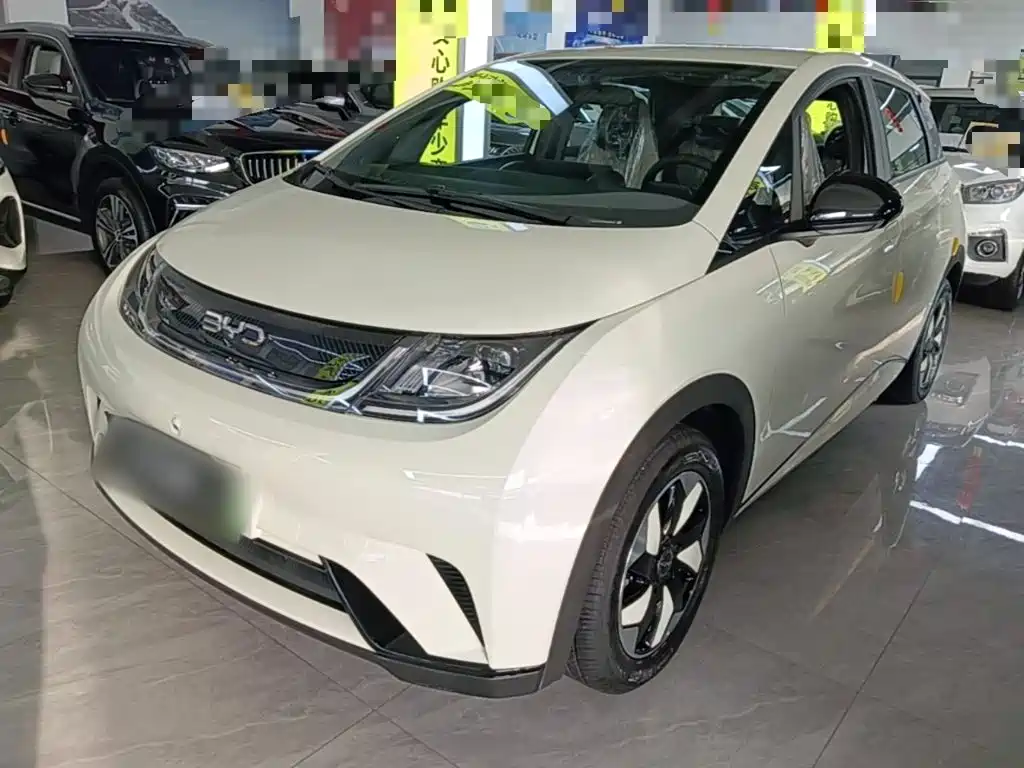 Фото 1 - BYD Dolphin