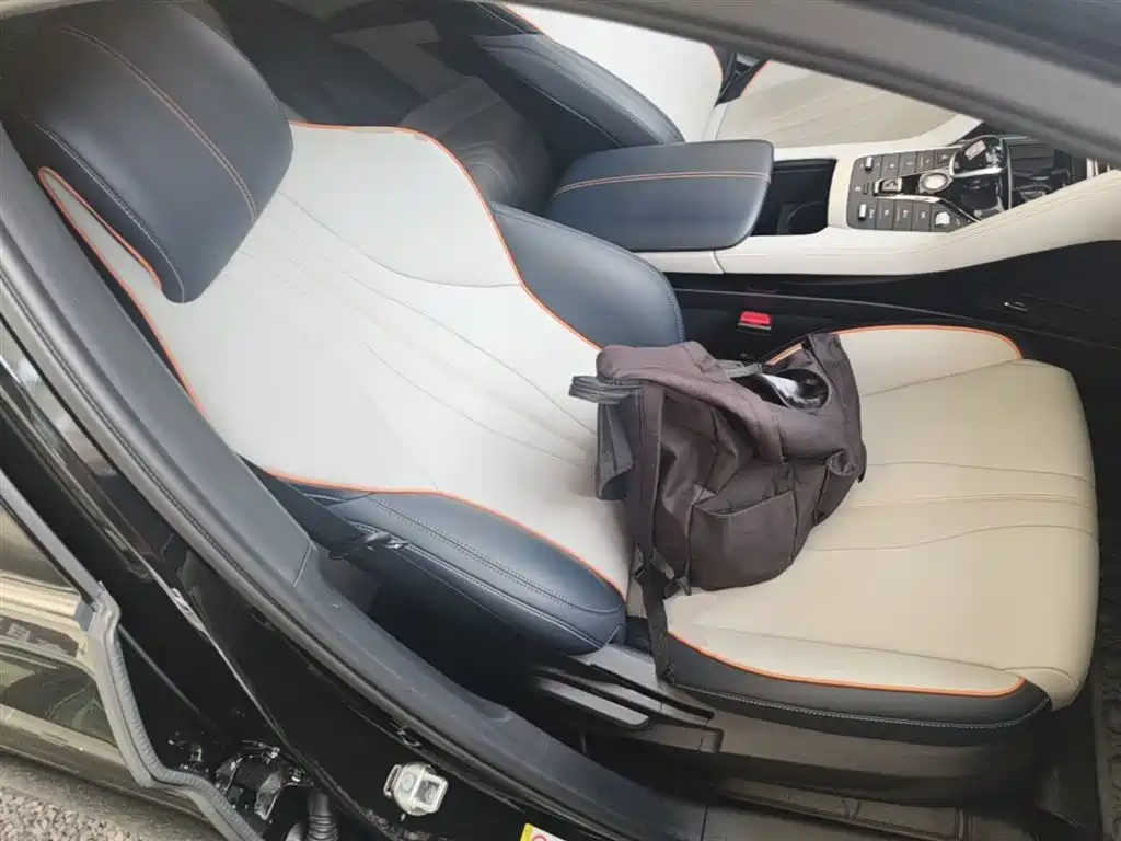 BYD Song PLUS PHEV 2021 DM-i 110KM Flagship фото 25