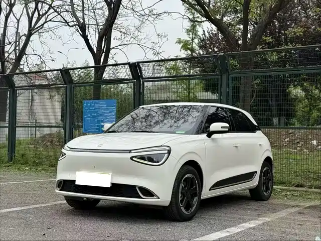 Dongfeng Yipai Nano 01 2024 430 Plus Smart+